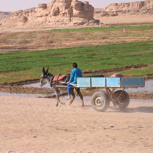 Dakhla